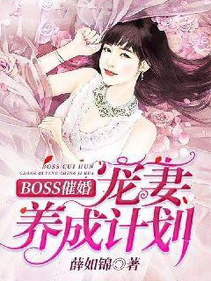 BOSS�߻飺�������ɼƻ�