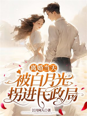 离婚当天,被白月光拐进民政局