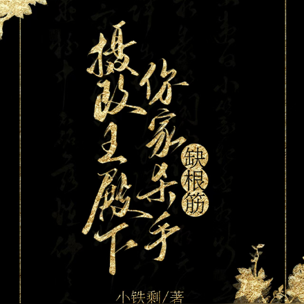 摄政王殿下,你家杀手缺根筋!