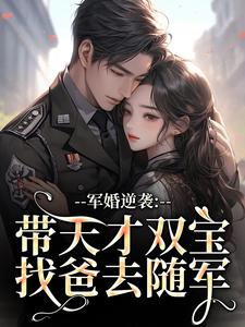 军婚逆袭:带天才双宝找爸去随军