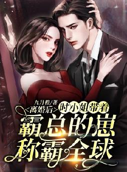 离婚后,时小姐带着霸总的崽称霸全球