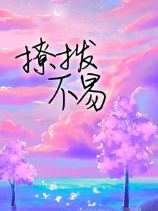 �ò�����
