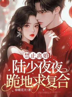 禁止离婚!陆少夜夜跪地求复合