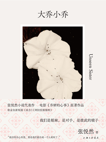 大乔小乔(赵露思、陈伟霆主演影视《许我耀眼》原著)