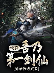 玄幻:吾乃第一剑仙,师承低级武者