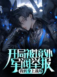 开局被境外军阀举报,我转身上战场
