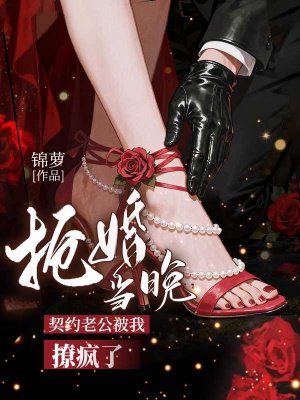 抢婚当晚,契约老公被我撩疯了