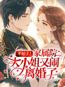 不好了!家属院大小姐又闹离婚了