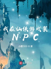 ����������ϷװNPC