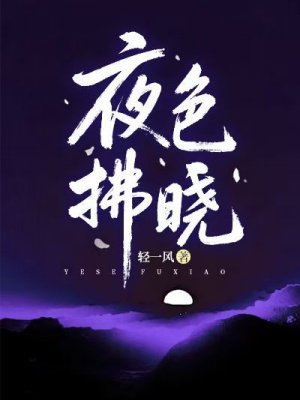 ҹɫ����