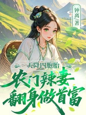 天降四胞胎,农门辣妻翻身做首富
