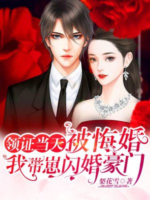 领证当天被悔婚,我带崽闪婚豪门