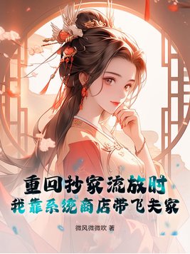 重回抄家流放时,我靠系统商店带飞夫家