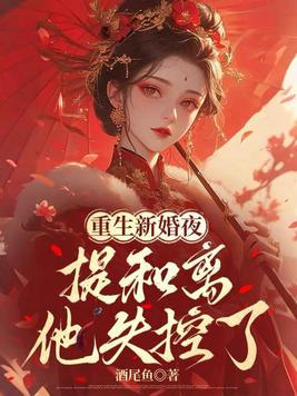 重生新婚夜,提和离他失控了